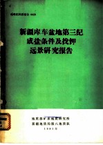 新疆库车盆地第三纪成盐条件及找钾远景研究报告