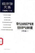 现代企业知识产权类无形资产法律问题