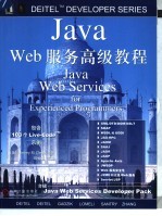 Java Web服务高级教程