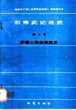 前寒武纪地质 第6号 新疆北部前寒武系