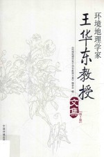 环境地理学家王华东教授文集 第2版