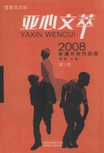 亚心文萃 2008新疆作家作品选 第3卷