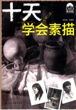 十天学会素描 DVD教学版