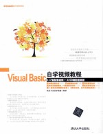 Visual Basic自学视频教程