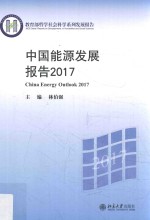 中国能源发展报告 2017