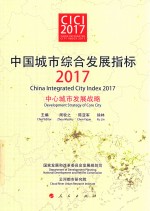 中国城市综合发展指标2017 中心城市发展战略