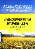 青藏高原资源型区域新型城镇化研究 以柴达木盆地为例