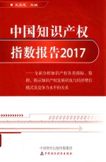 2017中国知识产权指数报告