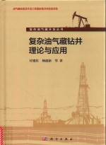 复杂油气藏钻井理论与应用