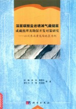 深层碳酸盐岩礁滩气藏储层成藏机理及勘探开发对策研究 以川东北黄龙场地区为例