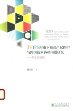 TRIPS约束下知识产权保护与跨国技术转移问题研究 以中国为例