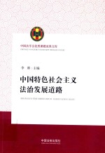 中国法学会优秀课题成果文库 中国特色社会主义法治发展道路