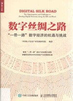 数字丝绸之路  “一带一路”数字经济的机遇与挑战