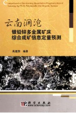 云南澜沧银铅锌多金属矿床综合成矿信息定量预测