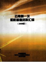 云南第一次能耗普查资料汇编 2008年