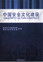 中国安全文化建设 中