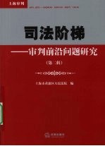 司法阶梯 审判前沿问题研究 第2辑