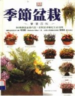 季节盆栽