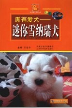 迷你雪纳瑞犬