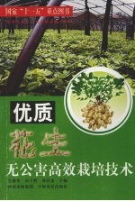 优质花生无公害高效栽培技术