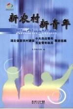 新农村 新青年：湖北省新农村建设十大杰出青年 百业青年标兵事迹选编