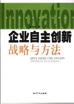 企业自主创新战略与方法