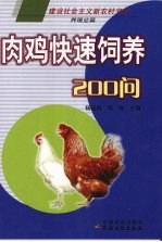 肉鸡快速饲养200问