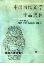 中国当代文学作品选评 下