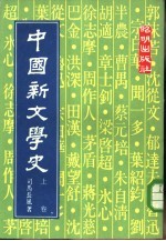 中国新文学史  上