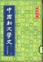 中国新文学史 下