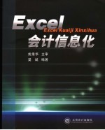 Excel会计信息化