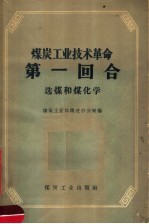 煤炭工业技术革命第一回合 选煤和煤化学