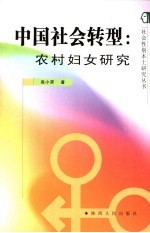 中国社会转型 农村妇女研究