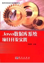 Java数据库系统项目开发实践