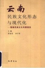 云南民族文化形态与现代化  楚雄民族文化考察报告