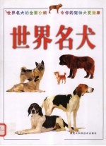 世界名犬