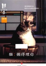 目客 懒得理你 4 猫