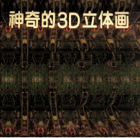 神奇的3D立体画