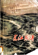 京江怒涛  江苏民兵革命斗争故事选