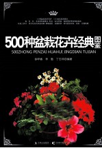 500种盆栽花卉经典图鉴