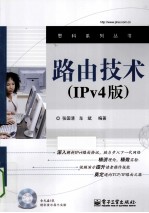 路由技术 IPv4版