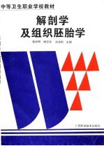 解剖学及组织胚胎学