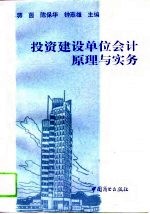 投资建设单位会计原理与实务