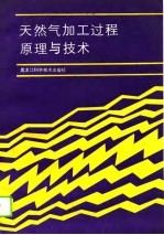 天然气加工过程原理与技术