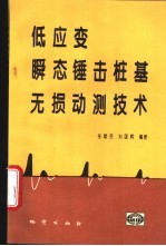 低应变瞬态锤击桩基无损动测技术