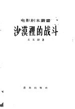 沙漠里的战斗