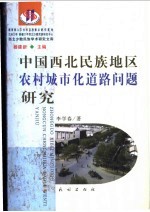 中国西北民族地区农村城市化道路问题研究