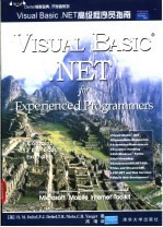 Visual Basic .NET高级程序员指南