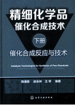 精细化学品催化合成技术  下  催化合成反应与技术