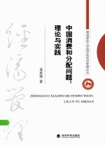 中国消费和分配问题 理论与实践